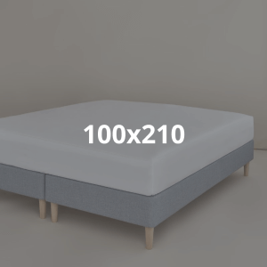 100x210